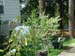 Spring House 002