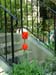 Spring House 003
